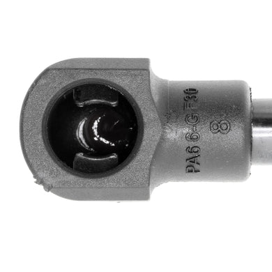 V10-1981
