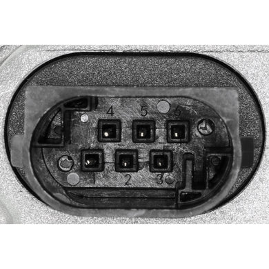 V33-81-0004