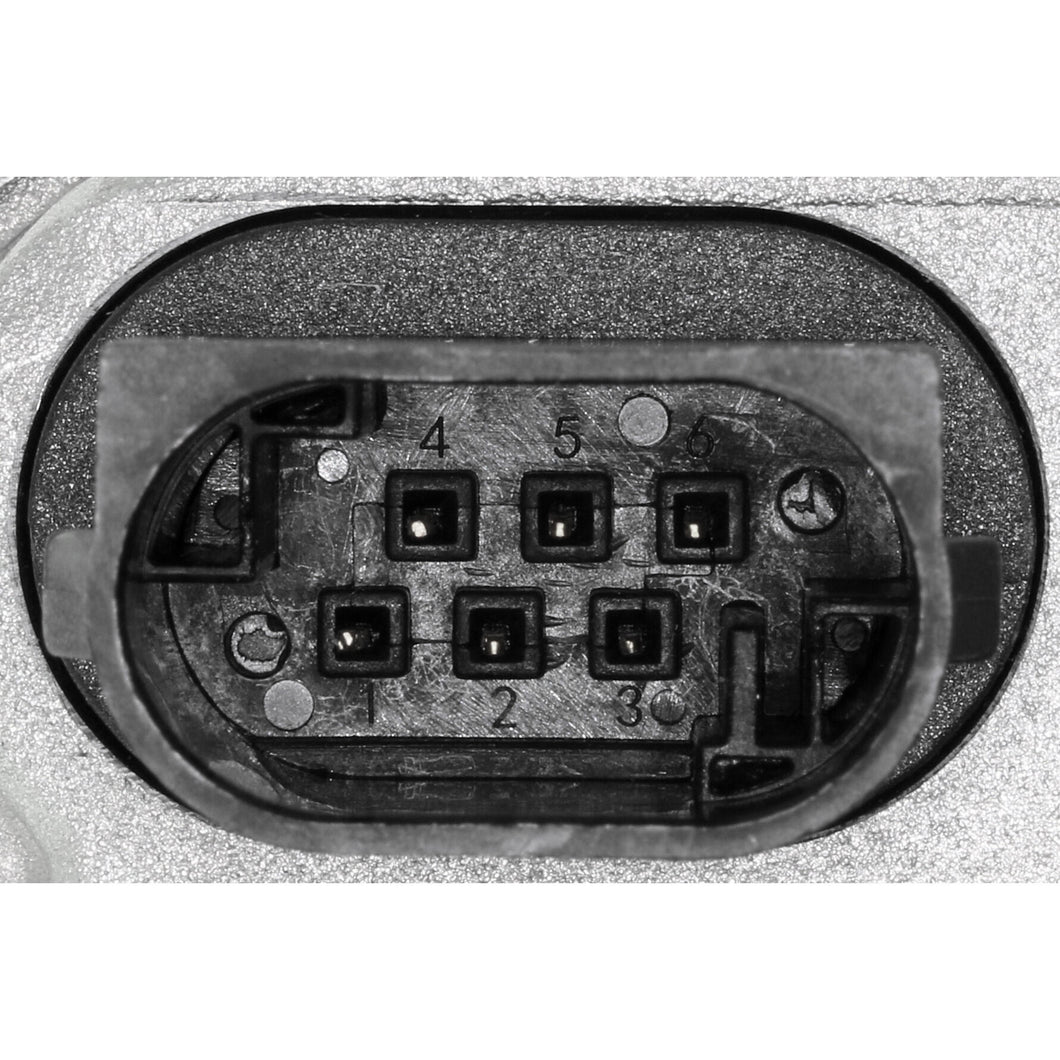 V33-81-0004