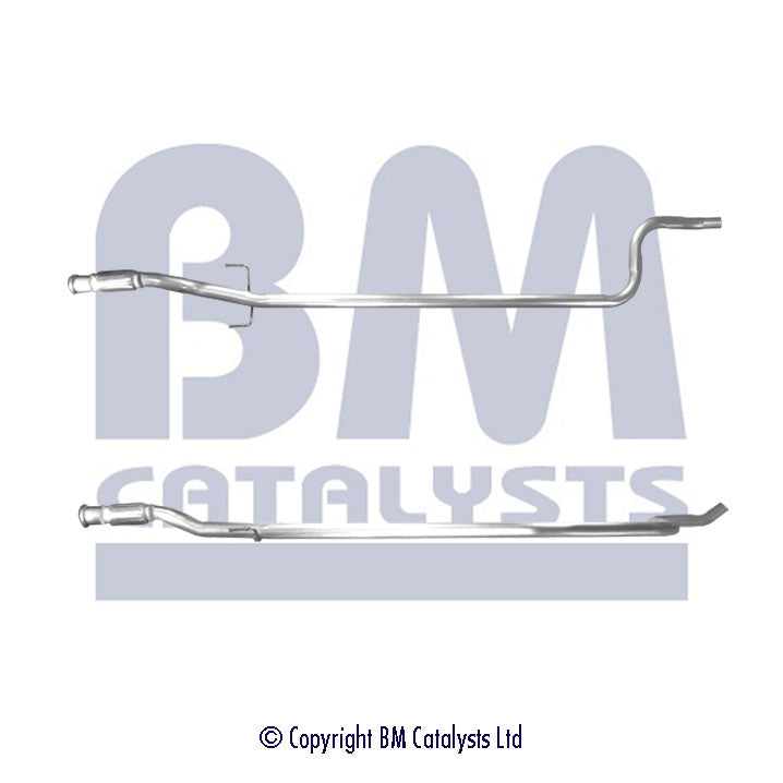 BM50119